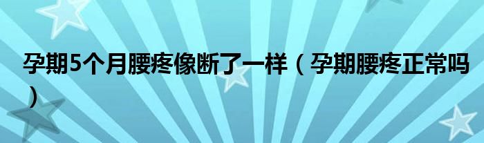 孕期5個(gè)月腰疼像斷了一樣（孕期腰疼正常嗎）