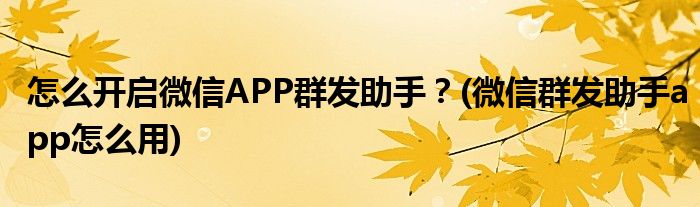 怎么開啟微信APP群發(fā)助手？(微信群發(fā)助手app怎么用)