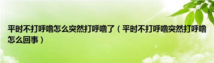 平時(shí)不打呼嚕怎么突然打呼嚕了（平時(shí)不打呼嚕突然打呼嚕怎么回事）