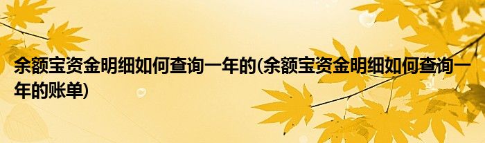 余額寶資金明細(xì)如何查詢一年的(余額寶資金明細(xì)如何查詢一年的賬單)