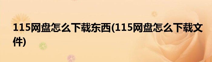 115網(wǎng)盤怎么下載東西(115網(wǎng)盤怎么下載文件)