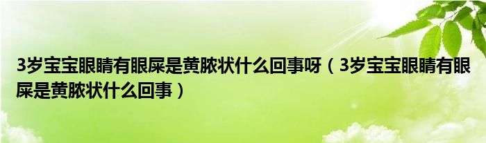 3歲寶寶眼睛有眼屎是黃膿狀什么回事呀（3歲寶寶眼睛有眼屎是黃膿狀什么回事）