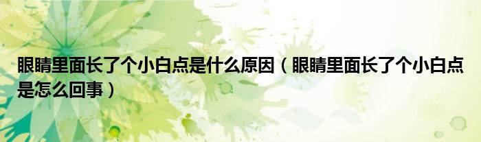 眼睛里面長了個小白點是什么原因（眼睛里面長了個小白點是怎么回事）