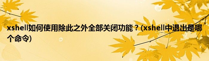 xshell如何使用除此之外全部關(guān)閉功能？(xshell中退出是哪個(gè)命令)