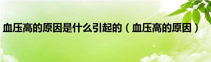 血壓高的原因是什么引起的（血壓高的原因）