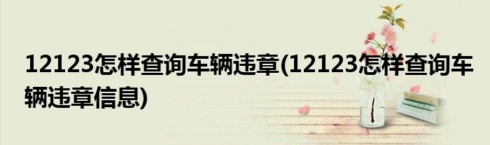 12123怎樣查詢車輛違章(12123怎樣查詢車輛違章信息)