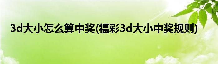 3d大小怎么算中獎(福彩3d大小中獎規(guī)則)