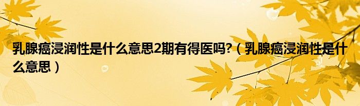 乳腺癌浸潤性是什么意思2期有得醫(yī)嗎?（乳腺癌浸潤性是什么意思）