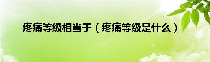 疼痛等級相當于（疼痛等級是什么）