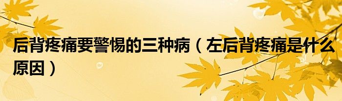 后背疼痛要警惕的三種?。ㄗ蠛蟊程弁词鞘裁丛颍?class='thumb lazy' /></a>
		    <header>
		<h2><a  href=