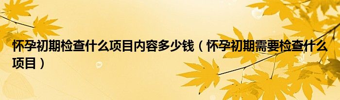 懷孕初期檢查什么項目內(nèi)容多少錢（懷孕初期需要檢查什么項目）