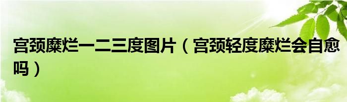 宮頸糜爛一二三度圖片（宮頸輕度糜爛會(huì)自愈嗎）