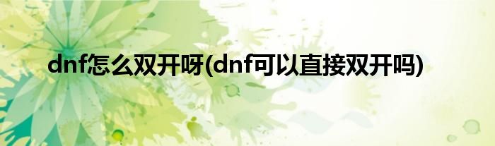 dnf怎么雙開呀(dnf可以直接雙開嗎)