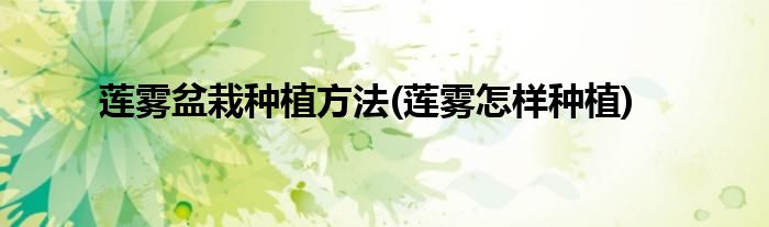 蓮霧盆栽種植方法(蓮霧怎樣種植)