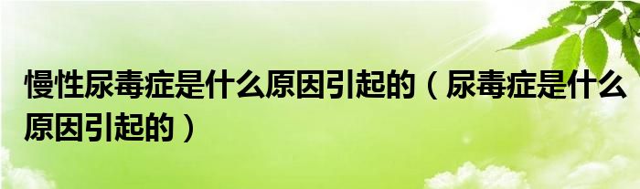 慢性尿毒癥是什么原因引起的（尿毒癥是什么原因引起的）