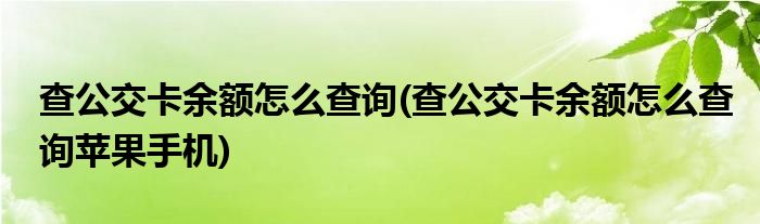 查公交卡余額怎么查詢(查公交卡余額怎么查詢蘋果手機(jī))