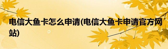 電信大魚(yú)卡怎么申請(qǐng)(電信大魚(yú)卡申請(qǐng)官方網(wǎng)站)