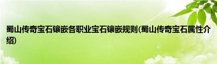 蜀山傳奇寶石鑲嵌各職業(yè)寶石鑲嵌規(guī)則(蜀山傳奇寶石屬性介紹)