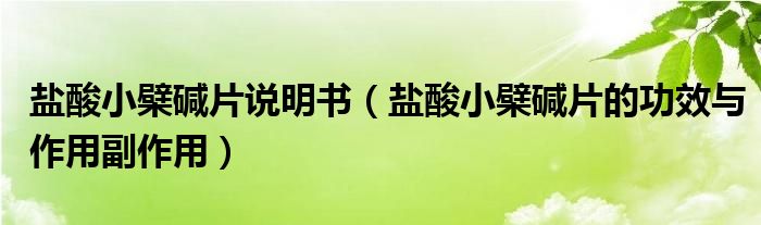 鹽酸小檗堿片說明書（鹽酸小檗堿片的功效與作用副作用）