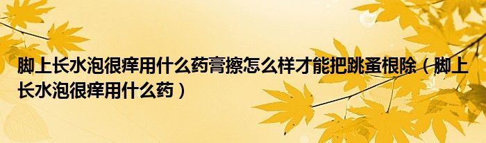 腳上長水泡很癢用什么藥膏擦怎么樣才能把跳蚤根除（腳上長水泡很癢用什么藥）