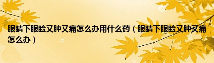 眼睛下眼瞼又腫又痛怎么辦用什么藥（眼睛下眼瞼又腫又痛怎么辦）