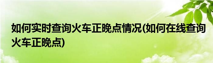 如何實(shí)時(shí)查詢火車正晚點(diǎn)情況(如何在線查詢火車正晚點(diǎn))