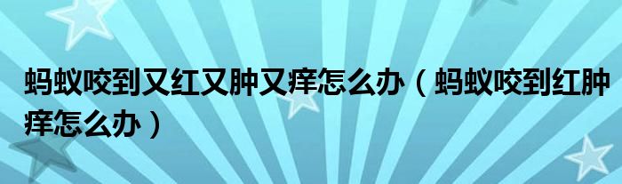 螞蟻咬到又紅又腫又癢怎么辦（螞蟻咬到紅腫癢怎么辦）