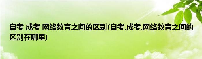 自考 成考 網(wǎng)絡(luò)教育之間的區(qū)別(自考,成考,網(wǎng)絡(luò)教育之間的區(qū)別在哪里)