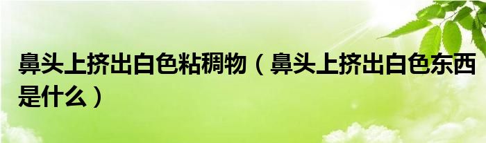 鼻頭上擠出白色粘稠物（鼻頭上擠出白色東西是什么）