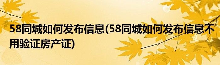 58同城如何發(fā)布信息(58同城如何發(fā)布信息不用驗證房產(chǎn)證)