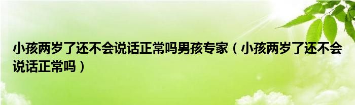 小孩兩歲了還不會說話正常嗎男孩專家（小孩兩歲了還不會說話正常嗎）