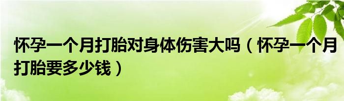 懷孕一個(gè)月打胎對(duì)身體傷害大嗎（懷孕一個(gè)月打胎要多少錢）