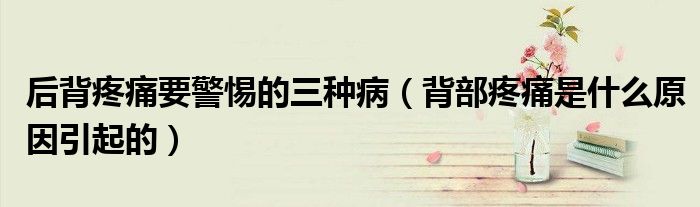 后背疼痛要警惕的三種?。ū巢刻弁词鞘裁丛蛞鸬模?class='thumb lazy' /></a>
		    <header>
		<h2><a  href=