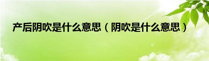 產后陰吹是什么意思（陰吹是什么意思）