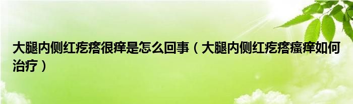 大腿內(nèi)側(cè)紅疙瘩很癢是怎么回事（大腿內(nèi)側(cè)紅疙瘩瘙癢如何治療）