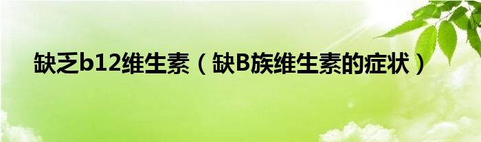 缺乏b12維生素（缺B族維生素的癥狀）