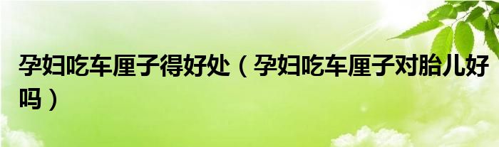 孕婦吃車?yán)遄拥煤锰帲ㄔ袐D吃車?yán)遄訉?duì)胎兒好嗎）