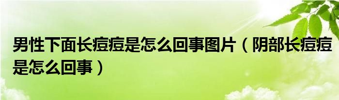 男性下面長(zhǎng)痘痘是怎么回事圖片（陰部長(zhǎng)痘痘是怎么回事）