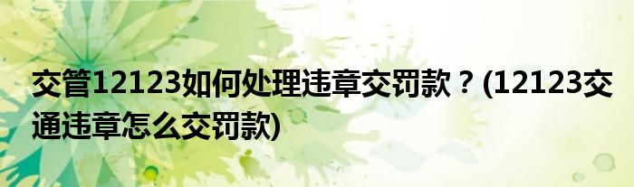 交管12123如何處理違章交罰款？(12123交通違章怎么交罰款)