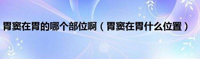 胃竇在胃的哪個(gè)部位?。ㄎ父]在胃什么位置）