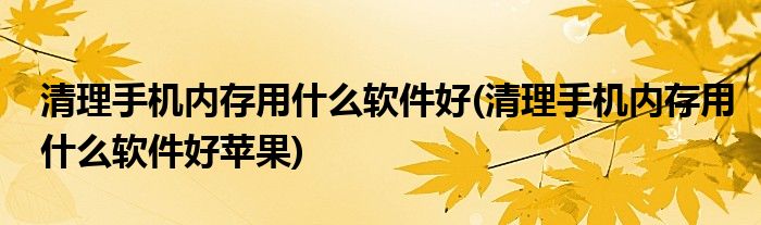 清理手機內(nèi)存用什么軟件好(清理手機內(nèi)存用什么軟件好蘋果)