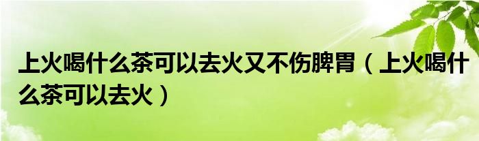 上火喝什么茶可以去火又不傷脾胃（上火喝什么茶可以去火）