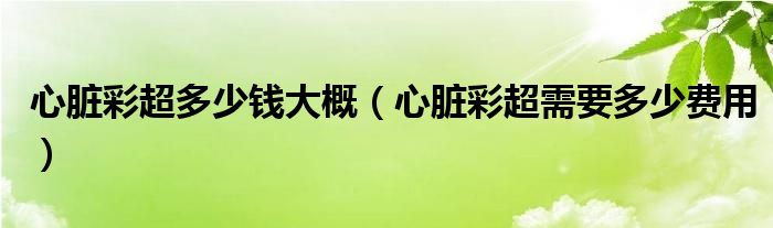 心臟彩超多少錢大概（心臟彩超需要多少費(fèi)用）