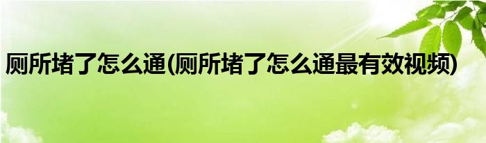 廁所堵了怎么通(廁所堵了怎么通最有效視頻)