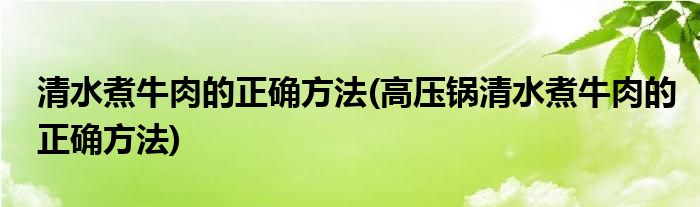 清水煮牛肉的正確方法(高壓鍋清水煮牛肉的正確方法)