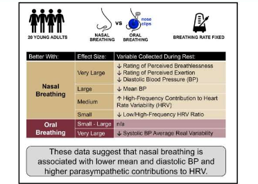 用鼻子呼吸可以降低血壓 可能有助于減少心臟病的危險(xiǎn)因素