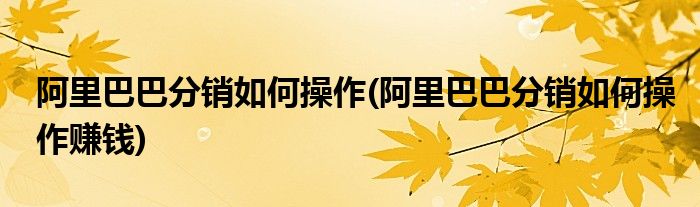 阿里巴巴分銷如何操作(阿里巴巴分銷如何操作賺錢)