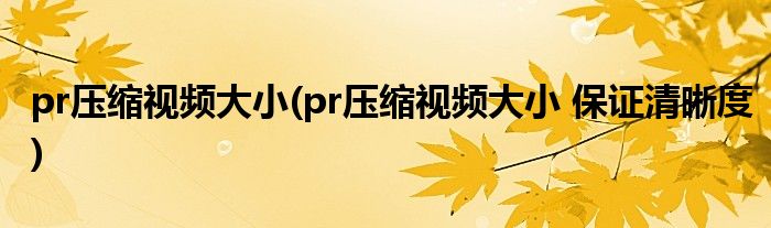 pr壓縮視頻大小(pr壓縮視頻大小 保證清晰度)