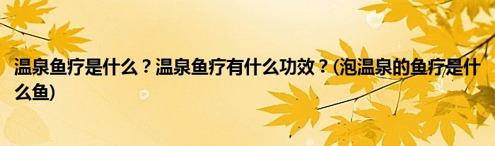 溫泉魚療是什么？溫泉魚療有什么功效？(泡溫泉的魚療是什么魚)