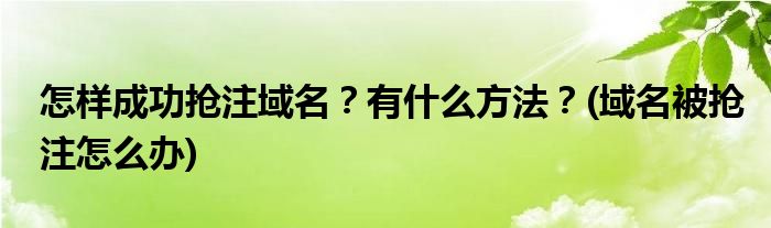 怎樣成功搶注域名？有什么方法？(域名被搶注怎么辦)